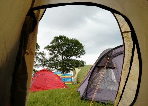 FloVibe view from happy tent.jpg