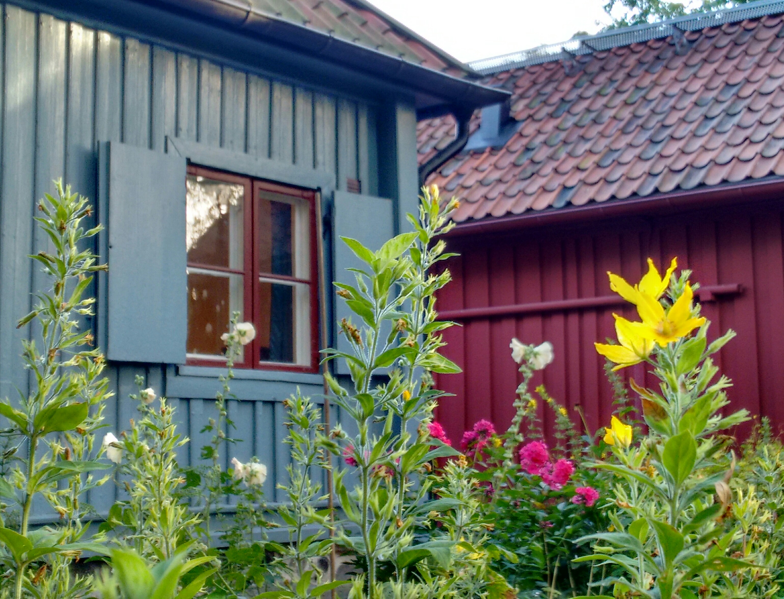 Gothenburg houses.jpg