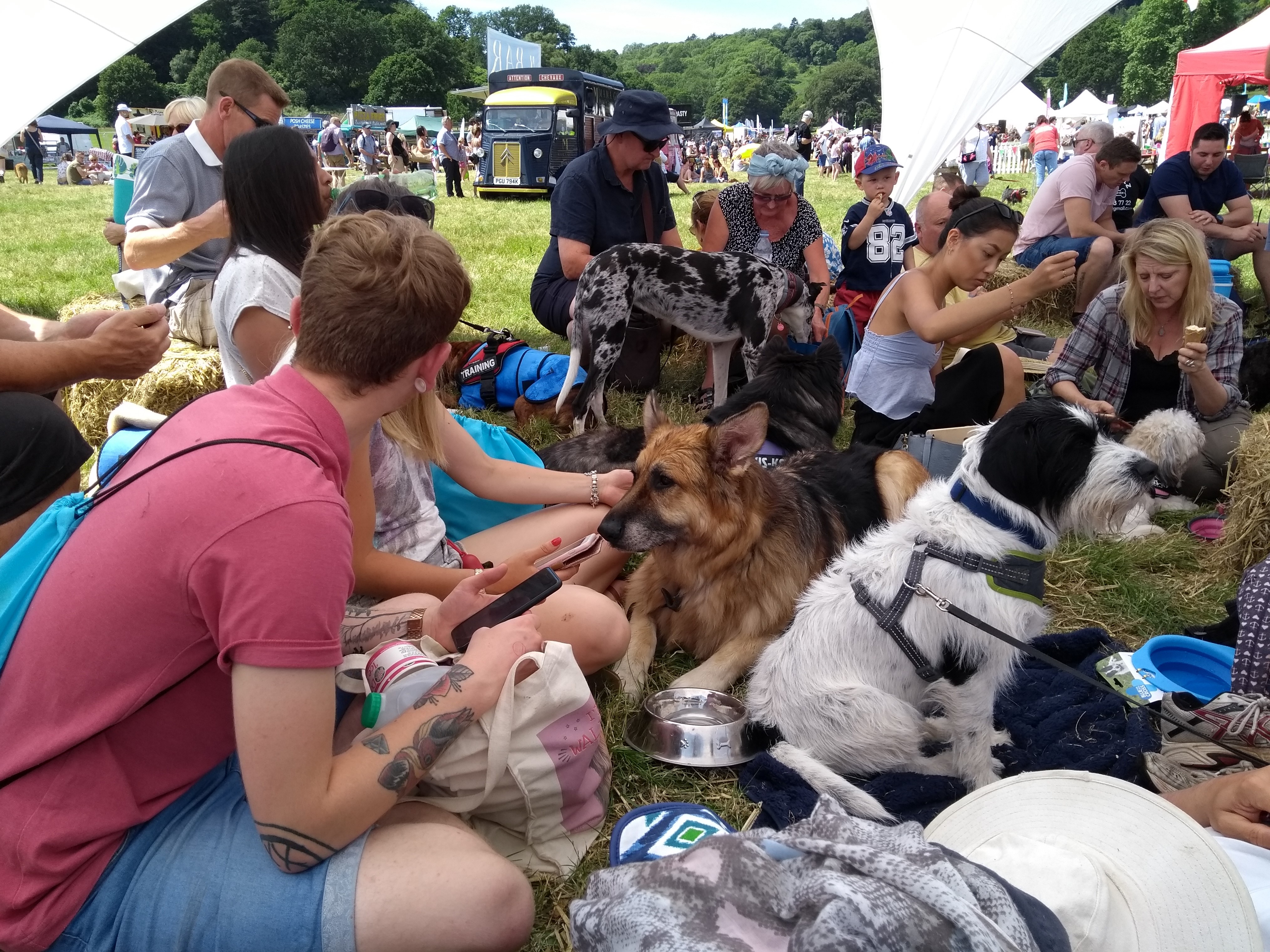 Dogfest tent